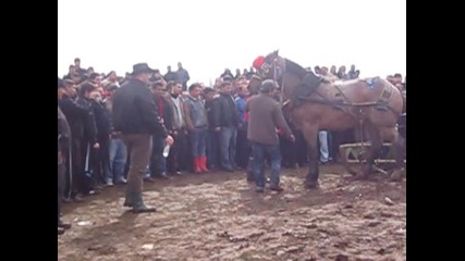 3 mart v ilienci konq na vlado - roko 