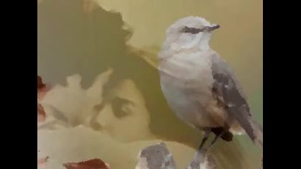 (превод) Barclay James Harvest - Mocking Bird