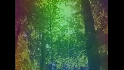 Air Suite Nr. 3 (johann Sebastian Bach) 
