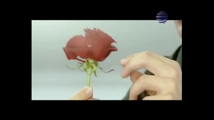 emiliq - salza