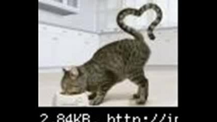 Смешни Картинки