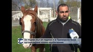 За първи път от години и в Приморско бяха организирани конни надбягвания