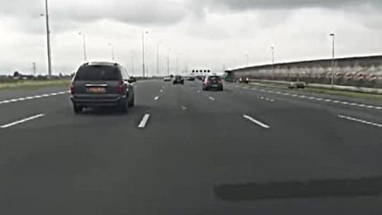 Гълъб безстрашен летец си прави кушия с колите на магистрала !