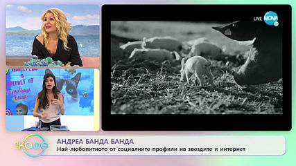 Андреа Банда Банда - най-интересното от социалните профили на звездите - „На кафе” (24.02.2020)