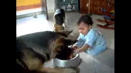 Куче и бебе се борят за храна-смях