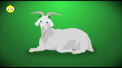 Pulcino Pio - El Pollito Pio (official)