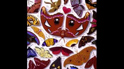 Talk Talk - Time It S Time - 1986 - Track 08 - Album The Colour Of Spring