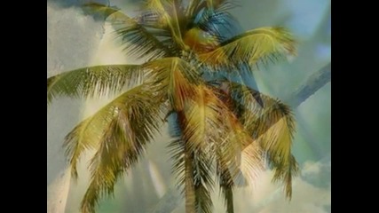 Caribbean Dream