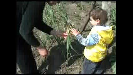 На Село Добротица Част 1