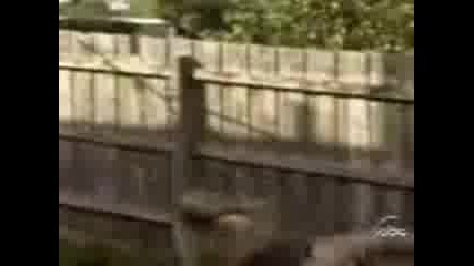 Qkosmqx Tova Ne E Za Izpuskane!
