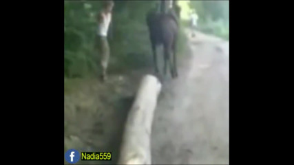 o май гат