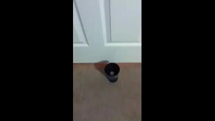 Basketball cuponk shot