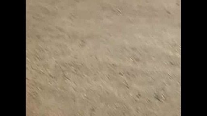 Ludiq Canio s Atv 
