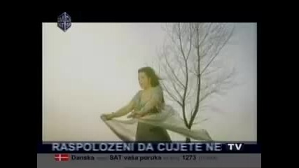 Dragana Mirkovic 