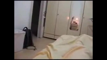 Сладко коте се мисли за куче ;dd