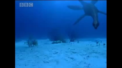Sharks vs dinosaurs - Bbc 