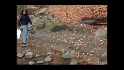 National Geographic - Is it real? - Bigfoot 2/3 бг аудио 