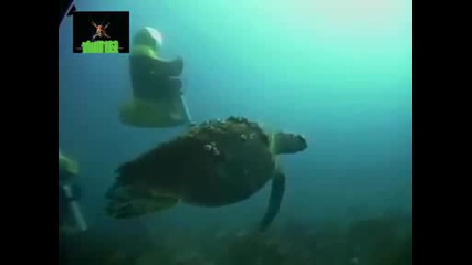 Awesome Underwater Motorbikes