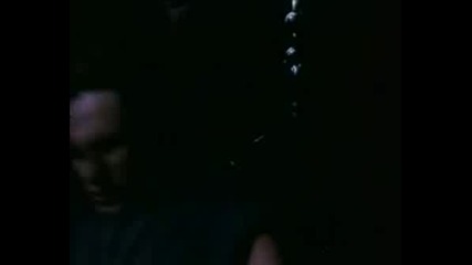 Wasp - Tormentor