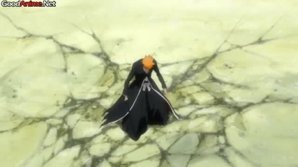 Bleach 255