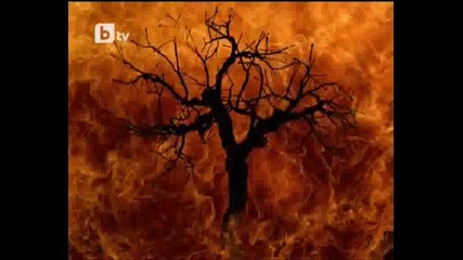 Давид Елеонора И Днк Баща И Бай Брадър Дебили 18.05.10 Високо Качество 