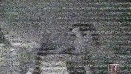 Gangland - Code Of Conduct - 3 of 3