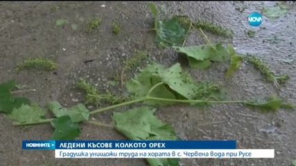 Градушка унищожи ниви в Русенско