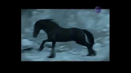 Emilia - Ti si lud