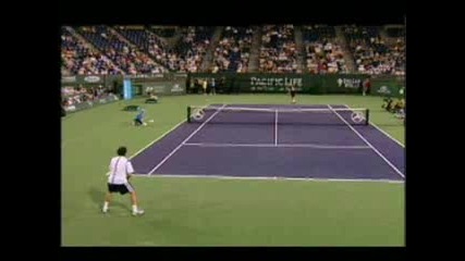 Велик Тенис (федерер, Шарапова, Надал) 