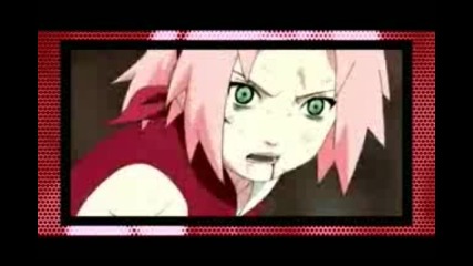 sakura two stars 