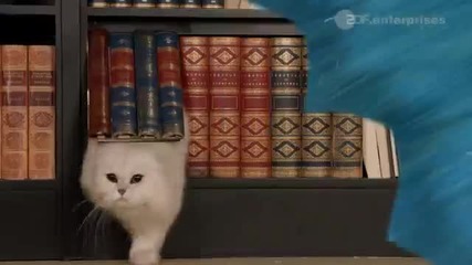 Русалките от Мако С02 Трейлър