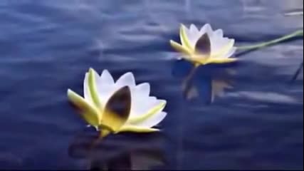 John Sokoloff music Élet A Tavon _life On The Lake