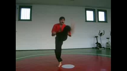 Kung Fu Toa - България