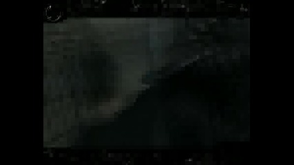 Single Gaming - Shme1ek 4/4