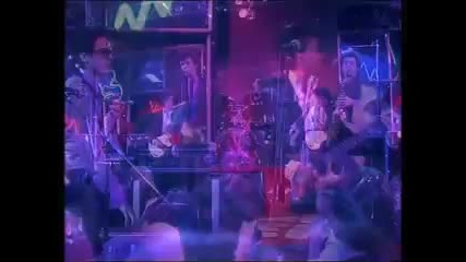 Mink deville - Love and Emotion 1981 