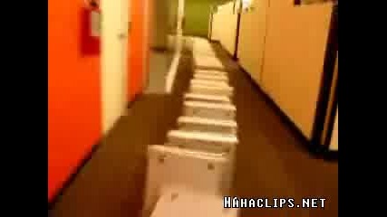 Domino Pc 