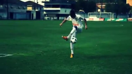 Neymar - Skills, Tricks & Goals compilation 2013 Hd