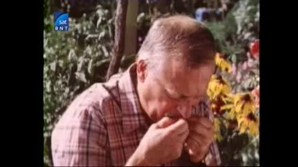 Българският сериал Дом за нашите деца, Сезон 3 - Неизчезващите (1988), 4 серия - Обицата [част 6]