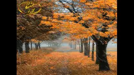 Kiri Te Kanawa - Autumn Leaves (Les Feuilles Mortes)