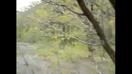 Цецо - пътеката по сипея