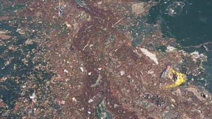 Нефтен разлив замърси яхтеното пристанище