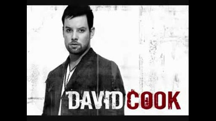 David Cook (new Song 2008).avi