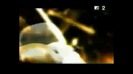Dmx - X Gon Give It 2 Ya.avi