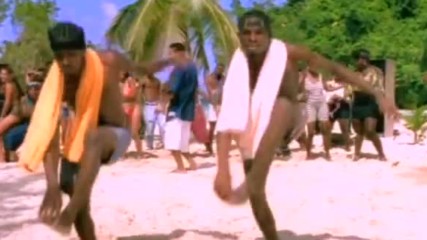 Shaggy Featuring Rayvon - In The Summertime
