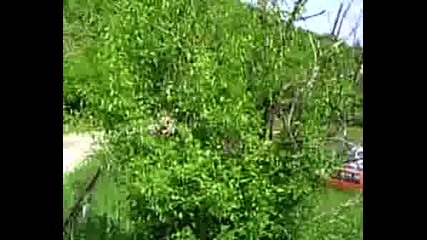 Рали Вида 2008