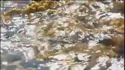 Strange white islands on Mars - Life on Mars - Bbc Horizon science 