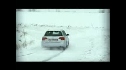 Audi - The Dog