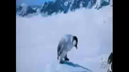 Happy Feet - Танца На Пингвините