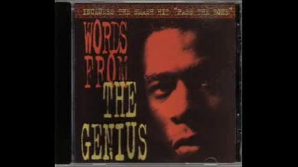 Gza - What Are Silly Girls Made