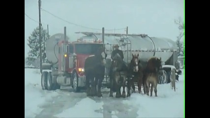 Коне теглят тир! 